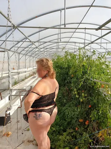 Photo amateur