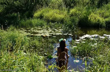 Photo amateur