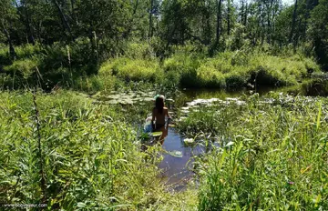 Photo amateur