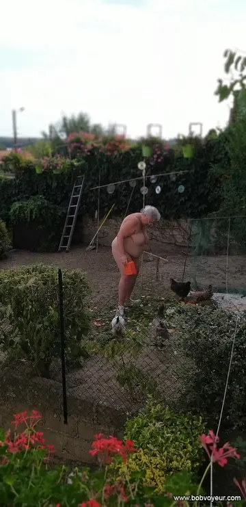 Photo amateur