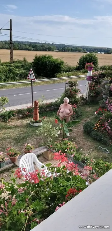 AU POULAILLIER