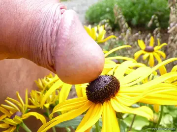 Photo amateur
