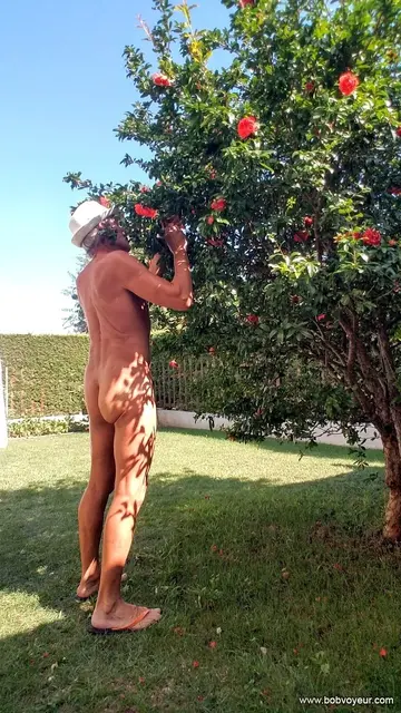 Photo amateur