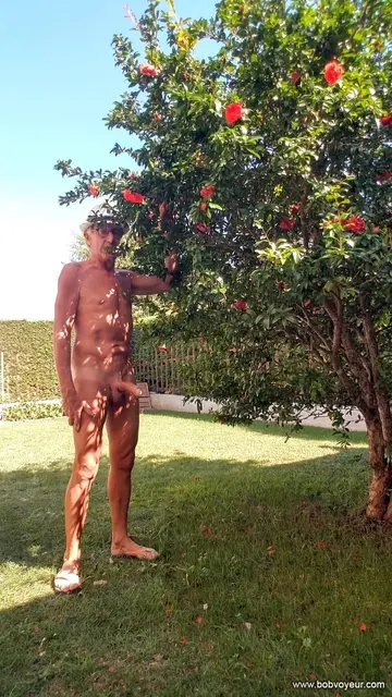 Photo amateur