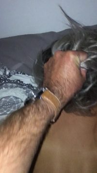 Chienne à saillir