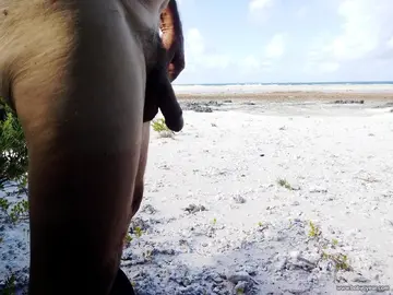 Photo amateur