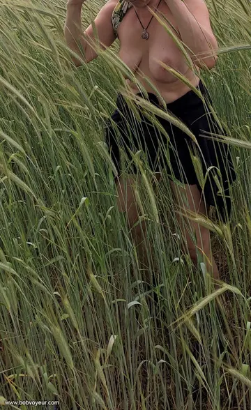 seins