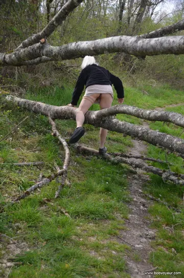 dans les bois