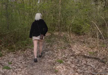 dans les bois