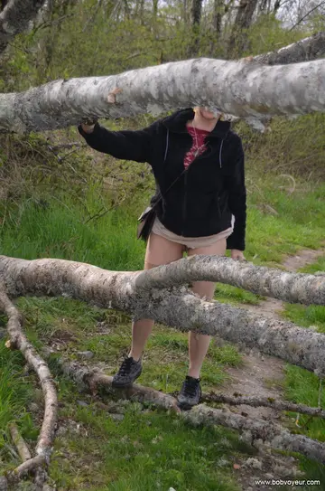 dans les bois