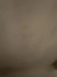 Première pour moi ici,soft