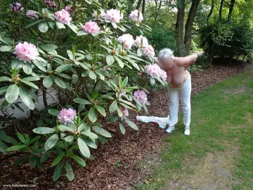 Photo amateur