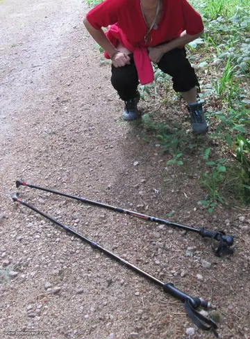 Photo amateur
