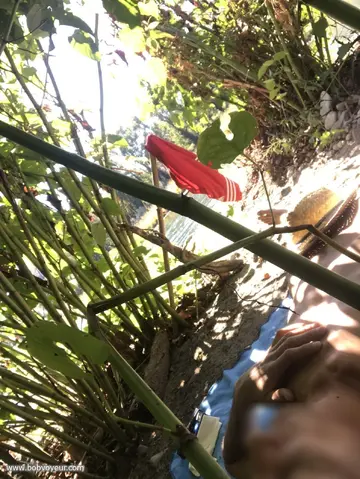Photo amateur