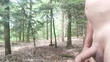 Exhib en forêt