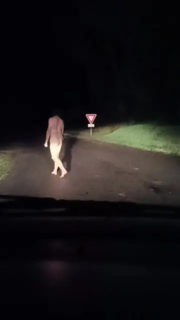Nu devant Les phares de la voiture