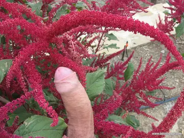 Photo amateur
