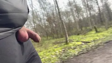 Balade dans les bois à condé sur l’Escaut 