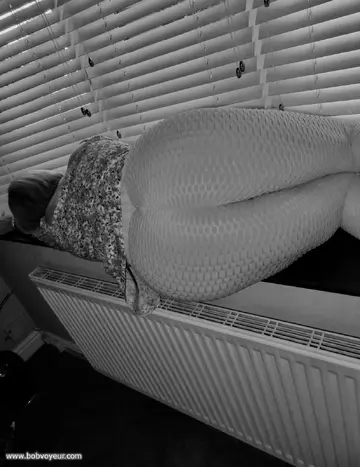 Photo amateur