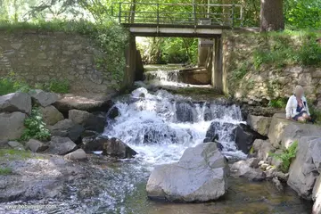 Photo amateur