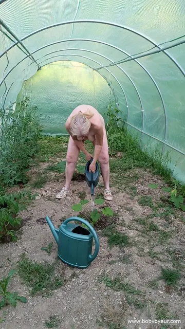 Photo amateur
