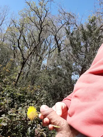 Photo amateur