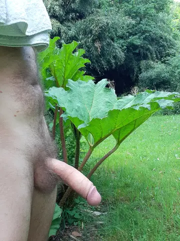 Photo amateur