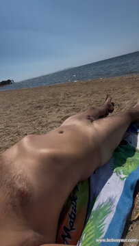 Plage de hyènes