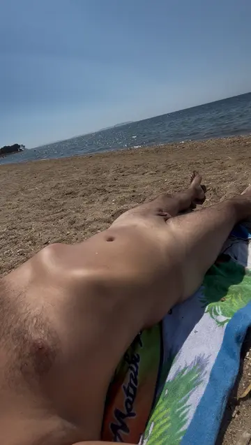 Plage de hyènes