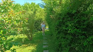 Photo amateur