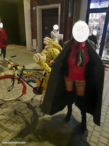 Visite des illuminations et marché de Noël
