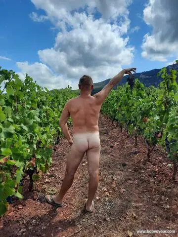 Photo amateur