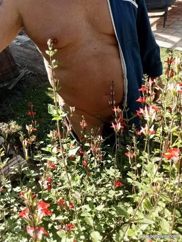 Photo amateur