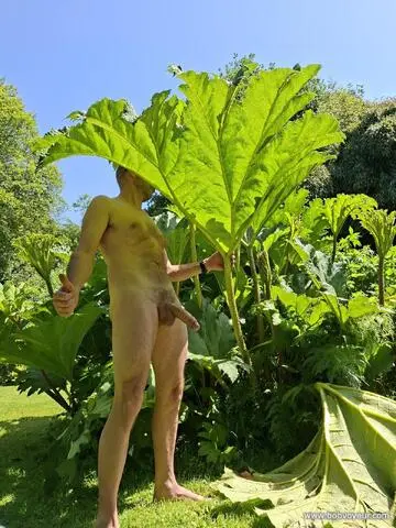 Photo amateur