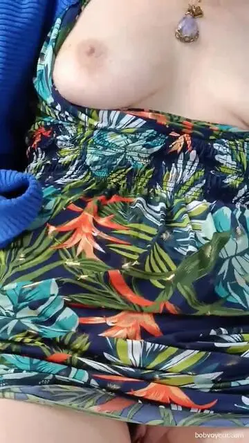 Vulve et seins