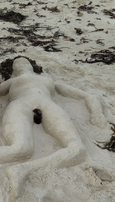 La belle de sable. ?