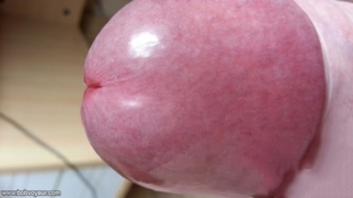 Photo amateur