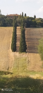 Photo amateur