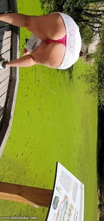 Forêt coquine