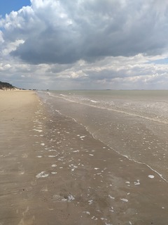 Photo amateur