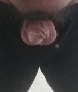 Sortie de cage... Petit non ? 