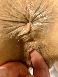 Photo amateur