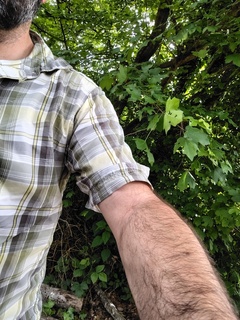 Photo amateur