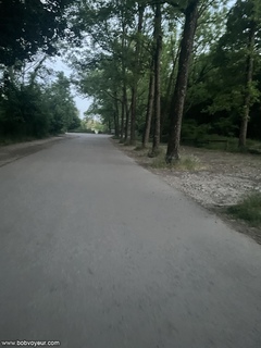 Photo amateur
