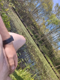 Photo amateur