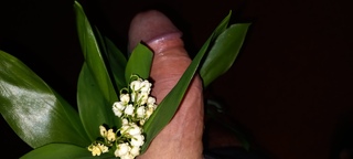 C'est toujours mieux avec des fleurs  😀