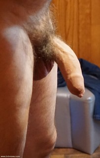 Photo amateur