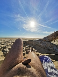 Deserte et venteuse plage de la Jenny, bien à l'abri et réchauffer par le soleil on y trouve so...