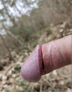 Photo amateur
