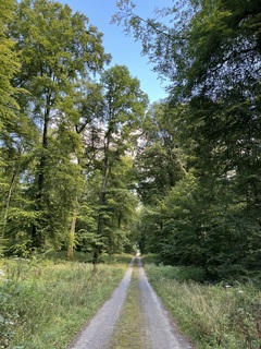 Photo amateur